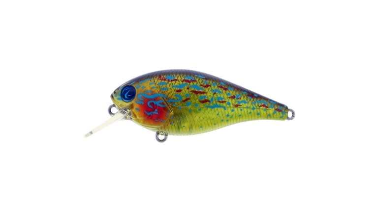 RIVER2SEA ISH MONROE BIGGIE POPPA CRANKBAIT