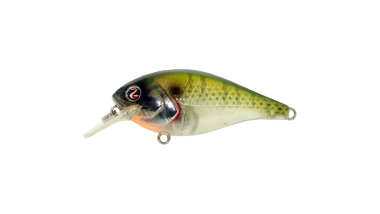 RIVER2SEA ISH MONROE BIGGIE POPPA 57 CRANKBAIT 28 BLUEGILL