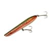 COTTON CORDELL PENCIL POPPER 7" Rainbow Trout