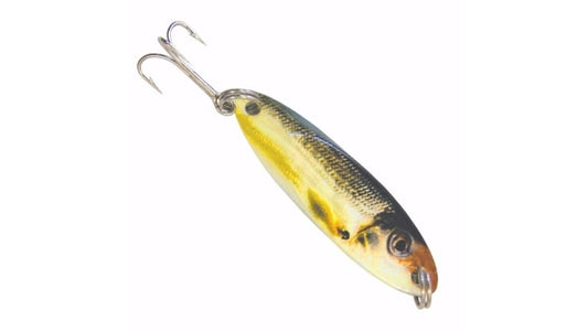 ACME FRESHWATER KASTMASTERS SW-10 GOLD SHINER   PRISM 1/4 OZ